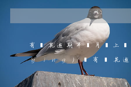 有錢花逾期半個月會上門嗎怎么辦，如何應(yīng)對有錢花逾期？是否會有人上門催收？